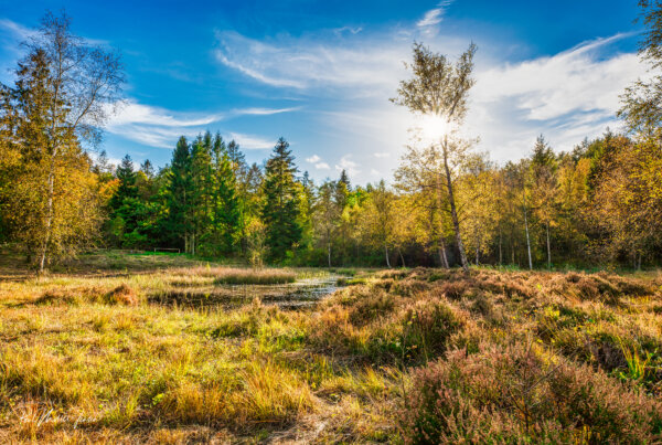 Efterårsweekender