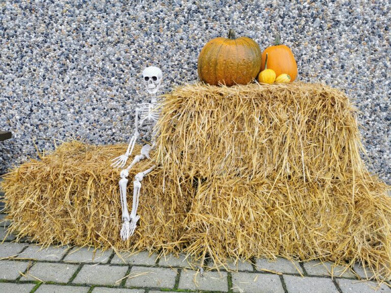 Flex autumn